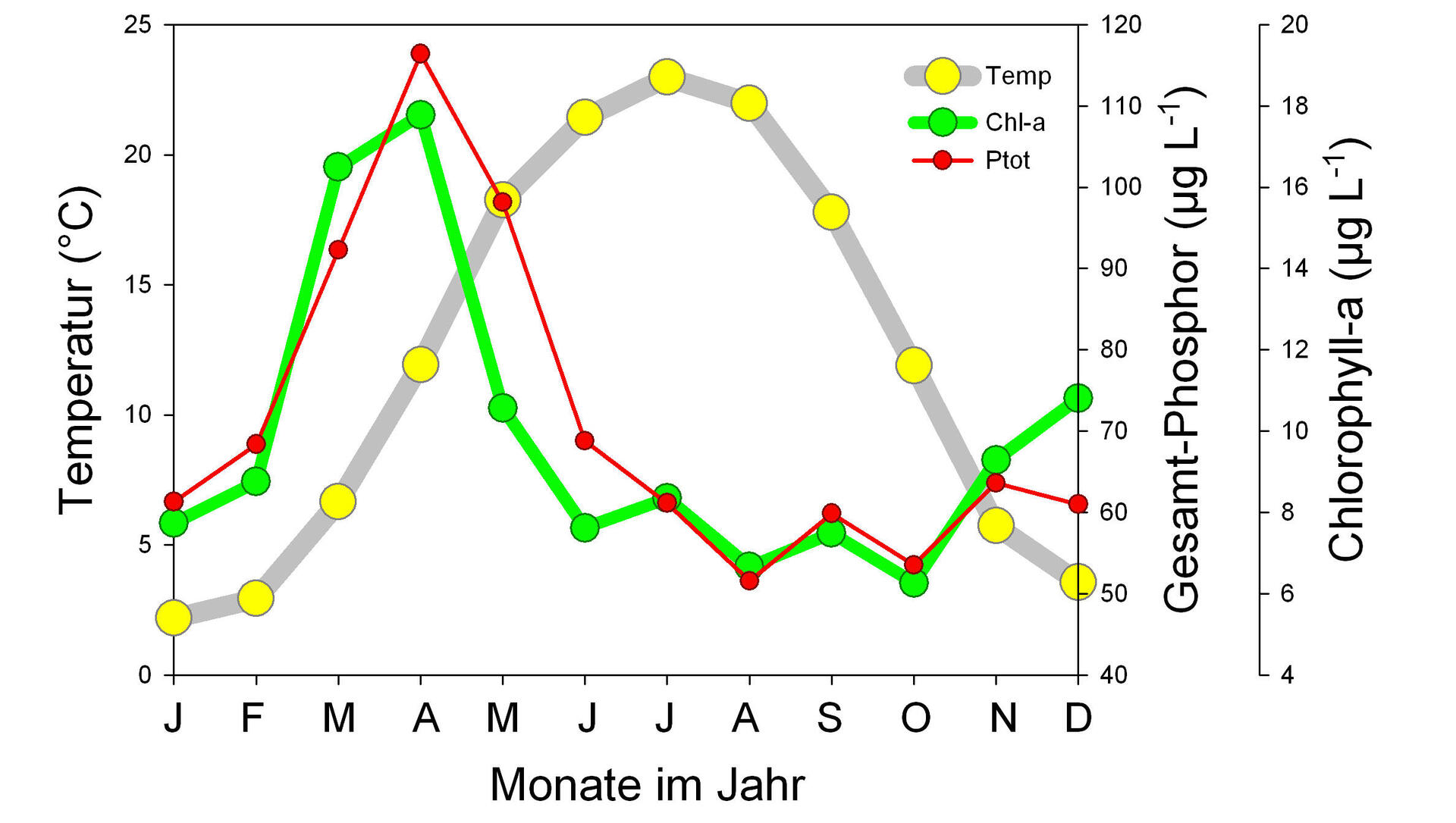Typische jahreszeitliche Schwankungen der Wassertemperatur (Temp), der Konzentration des Chlorophyll-a (Chl-a) und des Gesamt-Phosphors (Ptot)